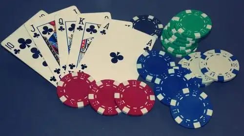 rojak88